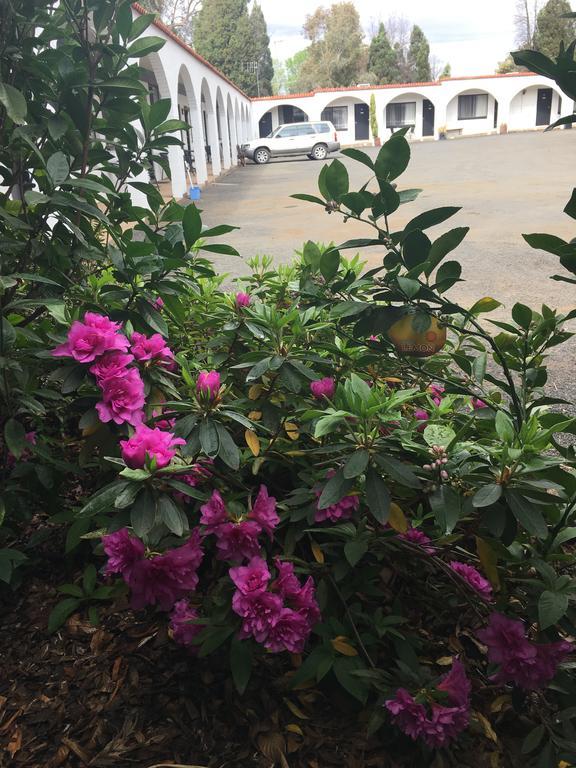 Azalea Motel Кунабарабран Экстерьер фото
